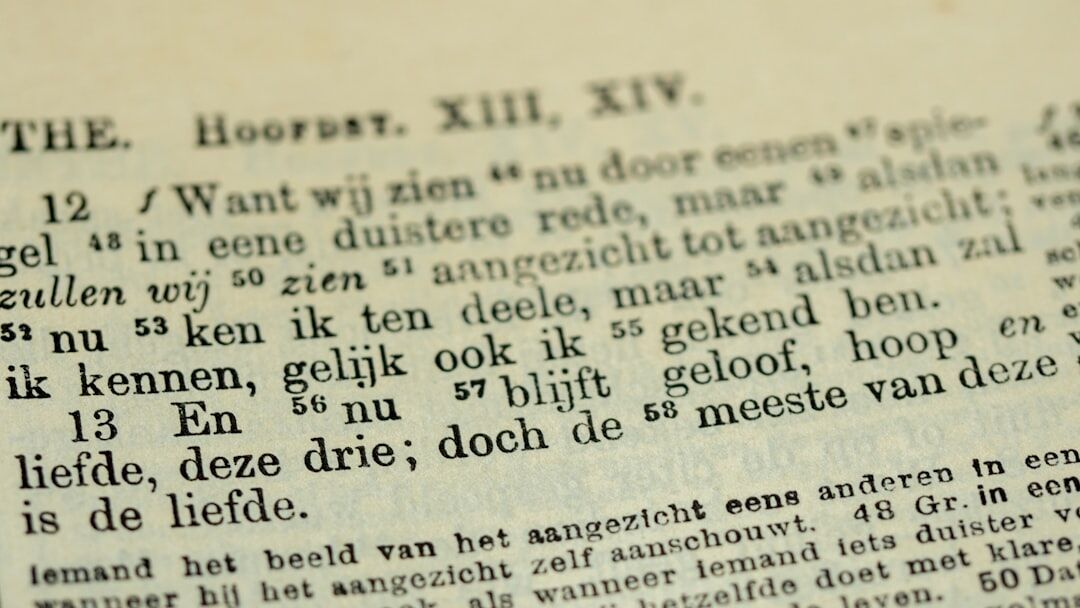 old dutch book open